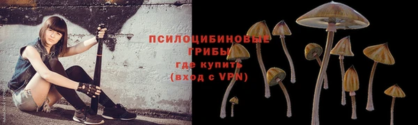 гидра Аркадак