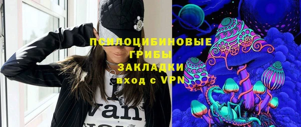 гидра Аркадак