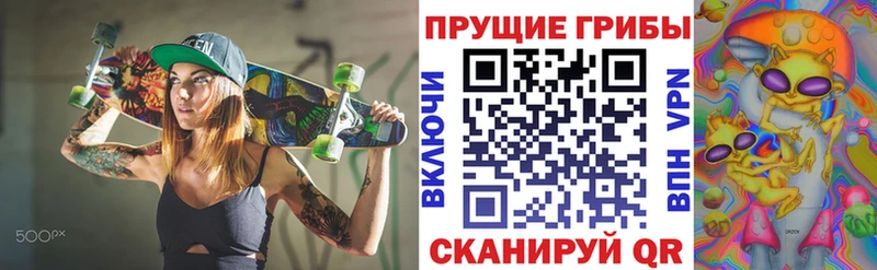 OMG tor  Новая Ладога  shop Telegram  Галлюциногенные грибы прущие грибы 
